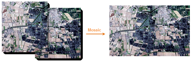 Raster Mosaic