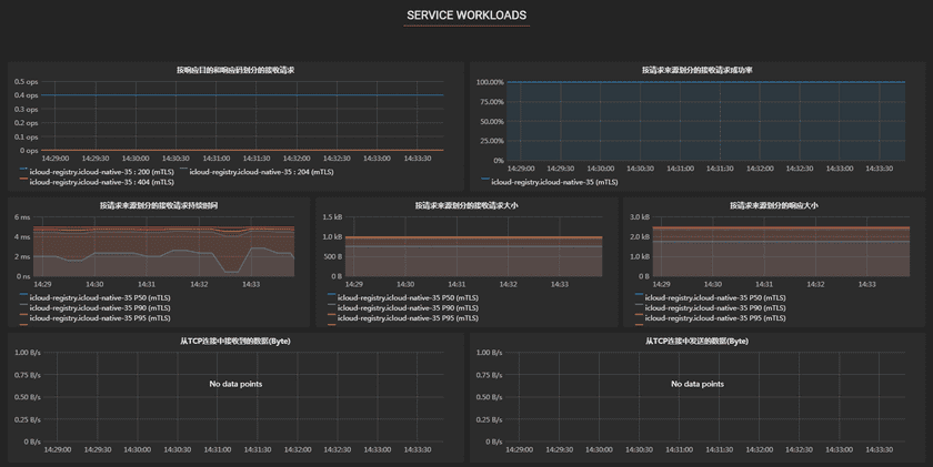 serviceworkload